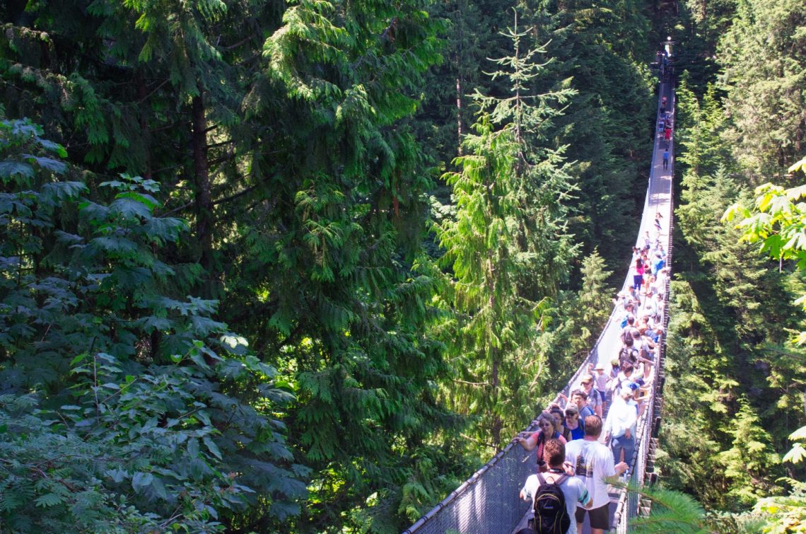 Best Pedestrian Suspension Bridges in the World Worth Crossing