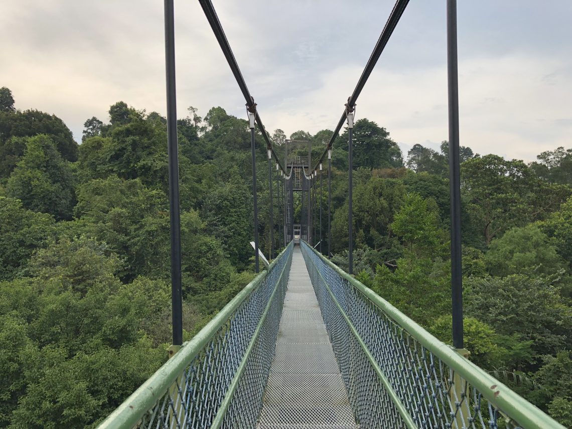 Best Pedestrian Suspension Bridges in the World Worth Crossing